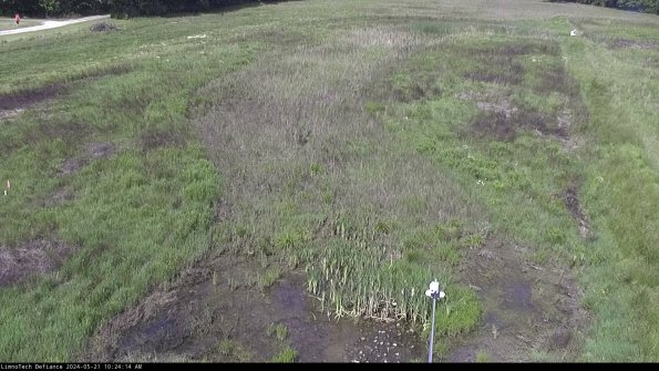 Cell 1_24-05-21_10-24-15-30