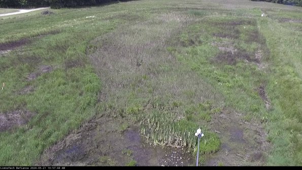 Cell 1_24-05-21_10-57-45-32