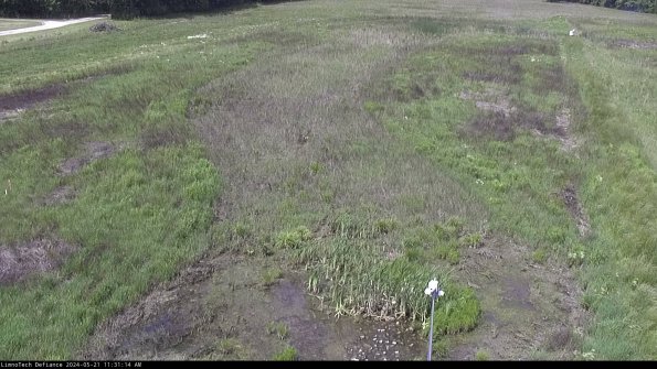 Cell 1_24-05-21_11-31-15-31