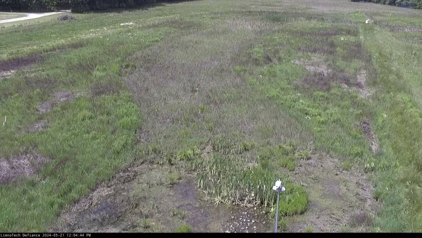 Cell 1_24-05-21_12-04-45-33