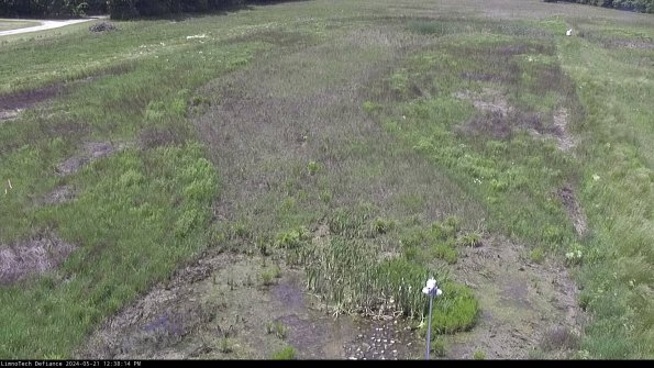 Cell 1_24-05-21_12-38-15-38