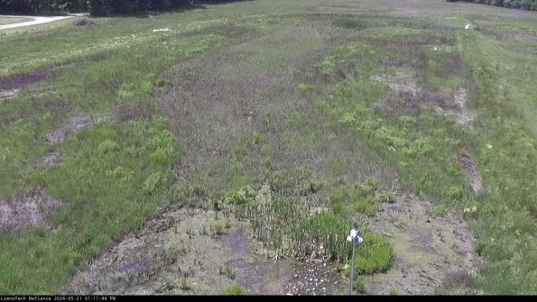 Cell 1_24-05-21_13-11-45-33