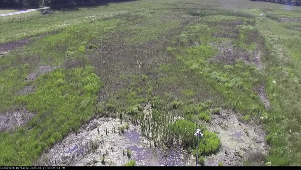 Cell 1_24-05-21_15-25-45-33