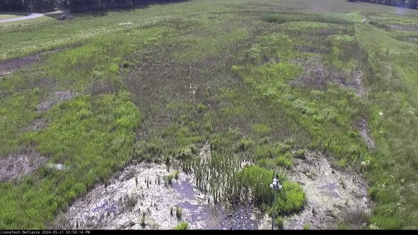 Cell 1_24-05-21_15-59-15-35