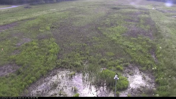 Cell 1_24-05-21_17-39-44-33