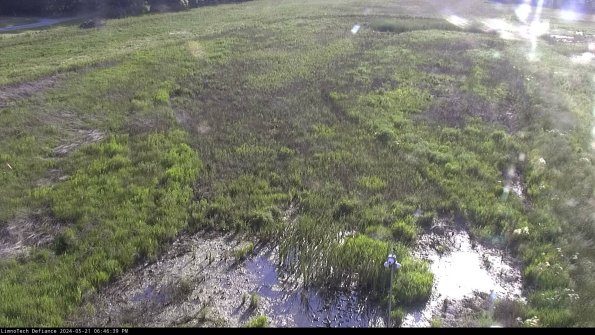 Cell 1_24-05-21_18-46-40-33