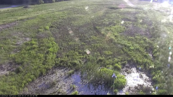 Cell 1_24-05-21_19-20-10-35