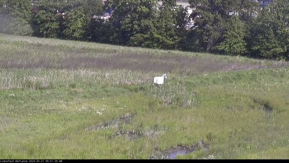 Cell 2 to 3_24-05-21_09-51-27-39