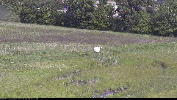 Cell 2 to 3_24-05-21_10-24-55-41