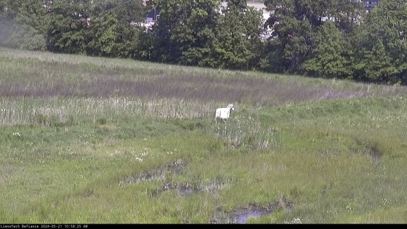 Cell 2 to 3_24-05-21_10-58-25-46