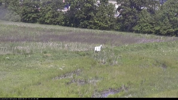 Cell 2 to 3_24-05-21_11-31-55-45