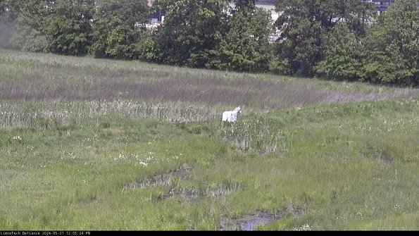 Cell 2 to 3_24-05-21_12-05-25-43