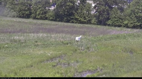 Cell 2 to 3_24-05-21_12-36-24-50