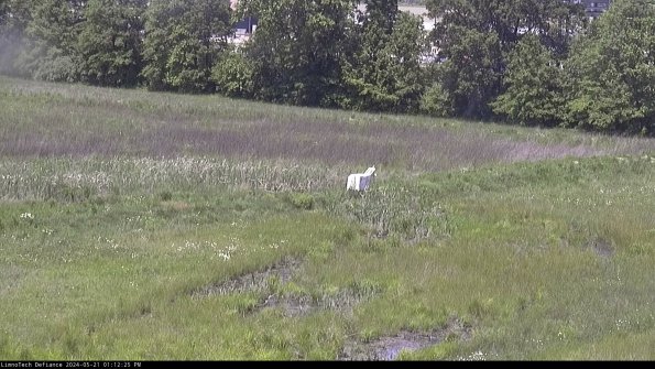 Cell 2 to 3_24-05-21_13-12-25-57