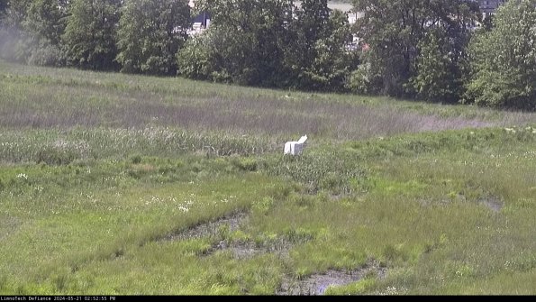 Cell 2 to 3_24-05-21_14-52-56-39