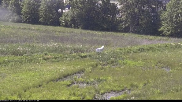 Cell 2 to 3_24-05-21_15-59-55-36