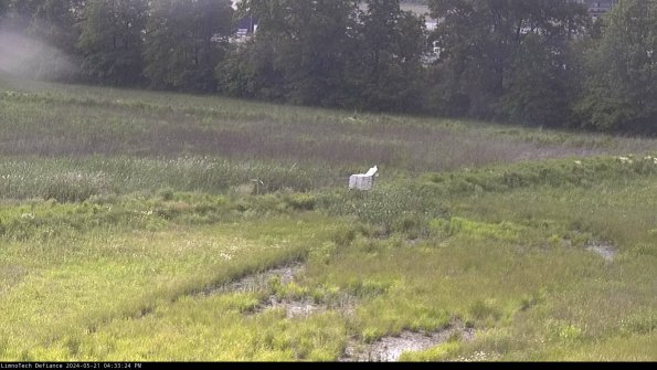 Cell 2 to 3_24-05-21_16-33-24-47