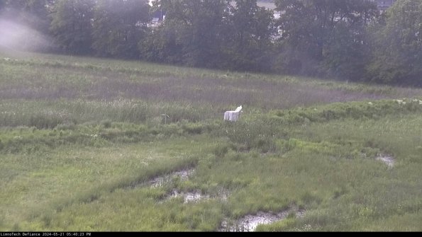 Cell 2 to 3_24-05-21_17-40-24-34