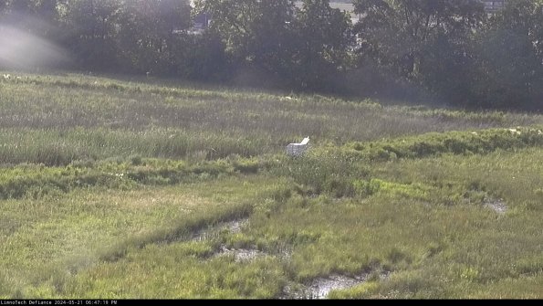 Cell 2 to 3_24-05-21_18-47-20-41