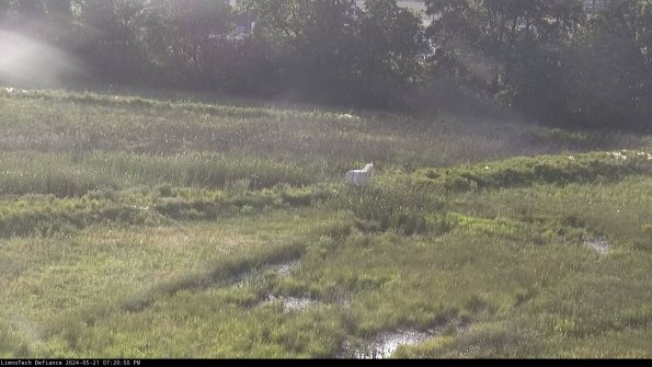 Cell 2 to 3_24-05-21_19-20-50-46