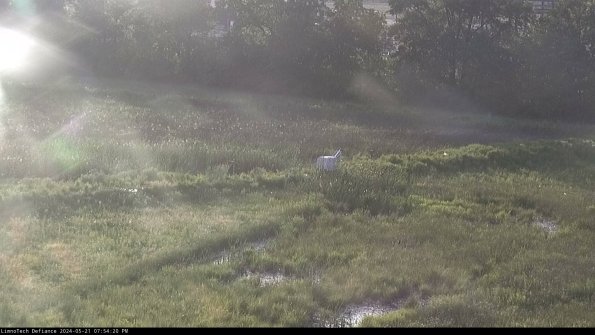 Cell 2 to 3_24-05-21_19-54-20-44