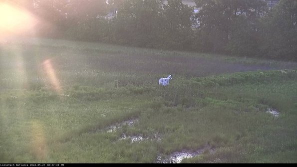 Cell 2 to 3_24-05-21_20-27-49-46