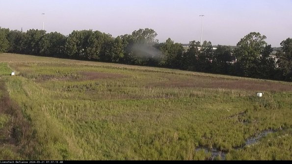 Cell 2_24-05-21_07-37-16-43