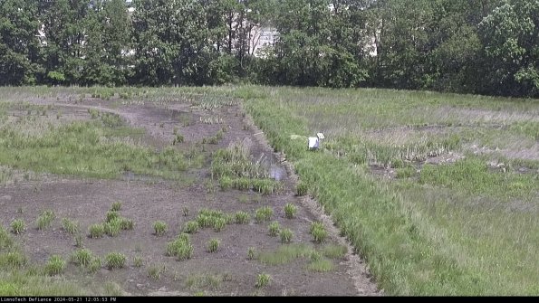 Cell 3 to 4_24-05-21_12-05-54-33