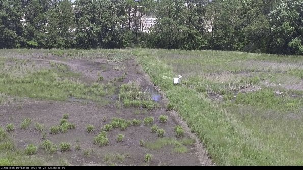 Cell 3 to 4_24-05-21_12-36-39-41