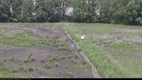 Cell 3 to 4_24-05-21_13-12-54-30