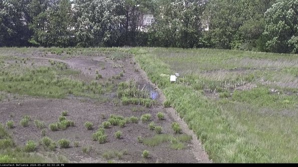 Cell 3 to 4_24-05-21_14-53-25-32