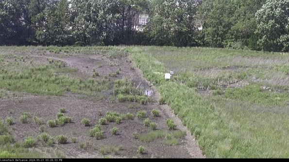 Cell 3 to 4_24-05-21_15-26-54-34