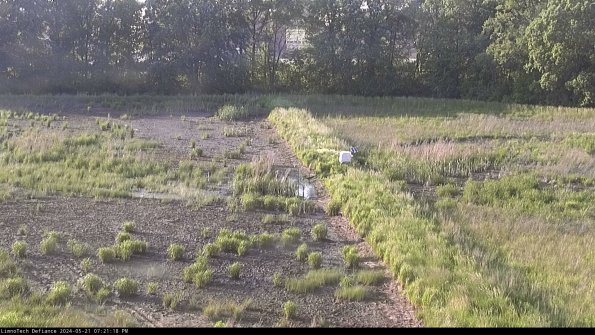 Cell 3 to 4_24-05-21_19-21-19-32