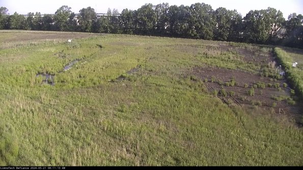 Cell 3_24-05-21_08-11-13-57