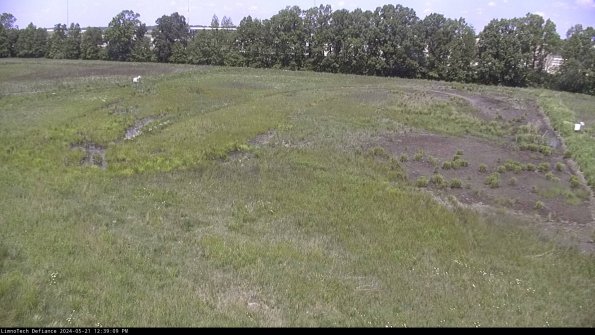 Cell 3_24-05-21_12-39-10-36