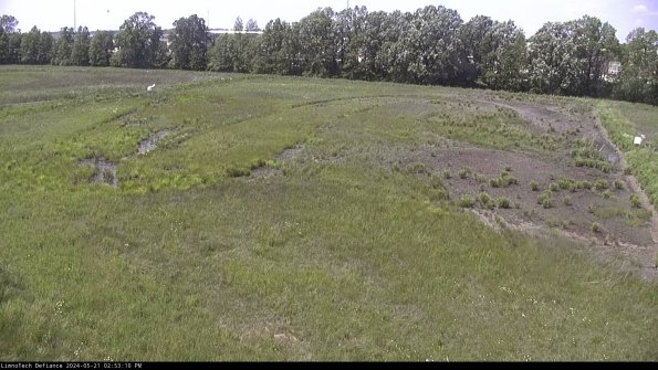 Cell 3_24-05-21_14-53-11-30