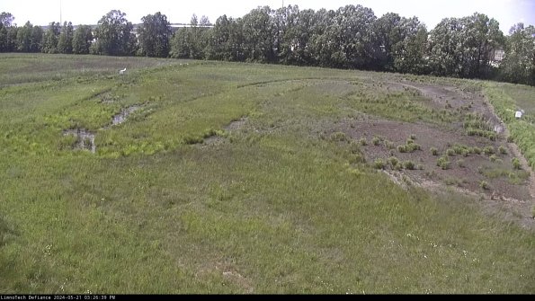 Cell 3_24-05-21_15-26-40-35