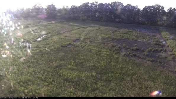 Cell 3_24-05-21_19-54-35-33