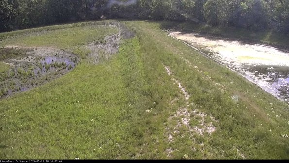 Cell 4 to Basin_24-05-21_10-26-08-31