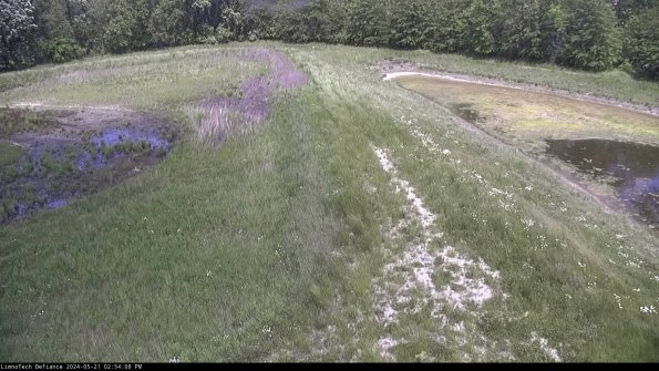 Cell 4 to Basin_24-05-21_14-54-09-33