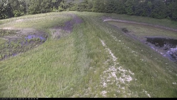 Cell 4 to Basin_24-05-21_16-34-37-35