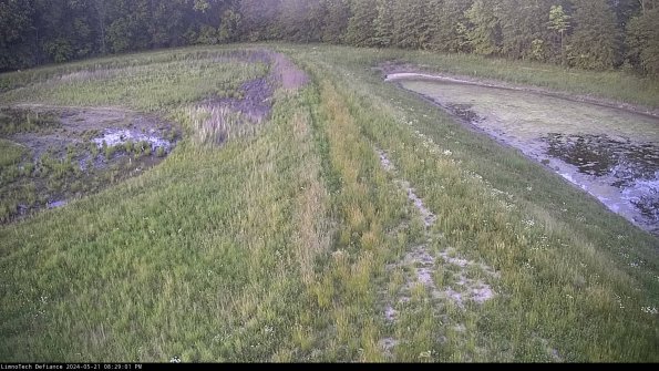 Cell 4 to Basin_24-05-21_20-29-02-34