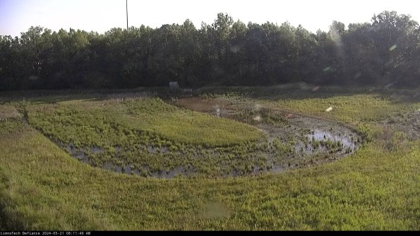 Cell 4_24-05-21_08-11-41-34