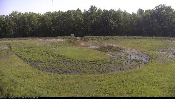 Cell 4_24-05-21_09-52-09-33