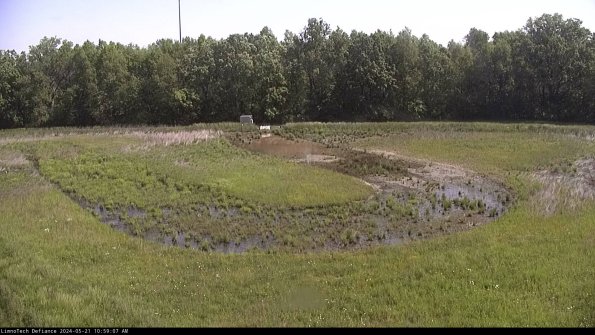 Cell 4_24-05-21_10-59-08-34