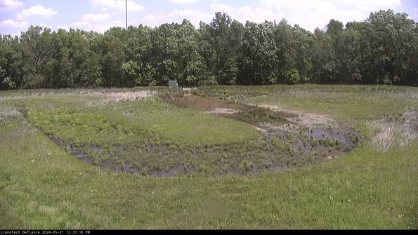 Cell 4_24-05-21_12-37-17-42