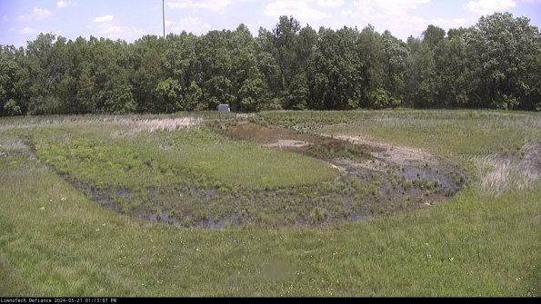 Cell 4_24-05-21_13-13-08-31