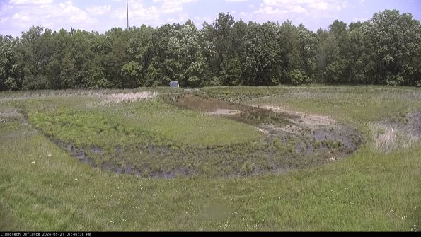 Cell 4_24-05-21_13-46-39-33