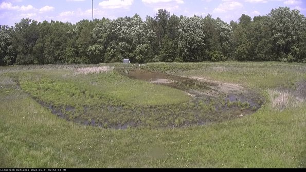 Cell 4_24-05-21_14-53-39-33