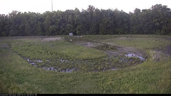 Cell 4_24-05-21_20-28-32-34